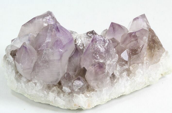 Amethyst Crystal Cluster - Diamond Hill, SC #44804